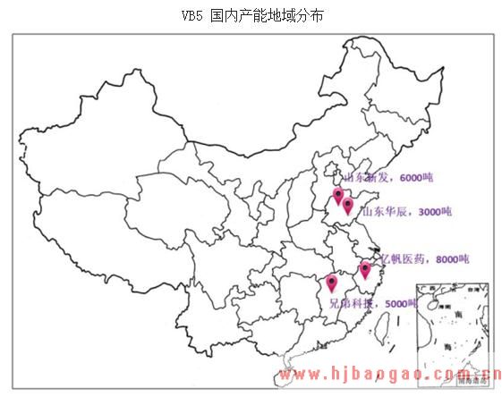 2019-2025年中国泛酸钙行业发展现状及市场前景分析预测研究报告