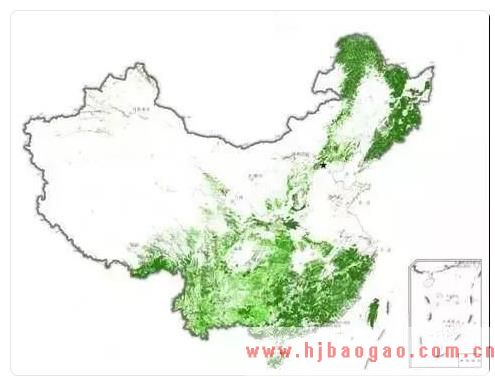 中国国内纸浆行业政策分析