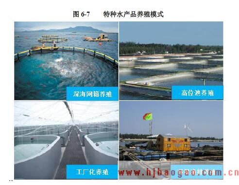 特种水产养殖与普通水产养殖的区别
