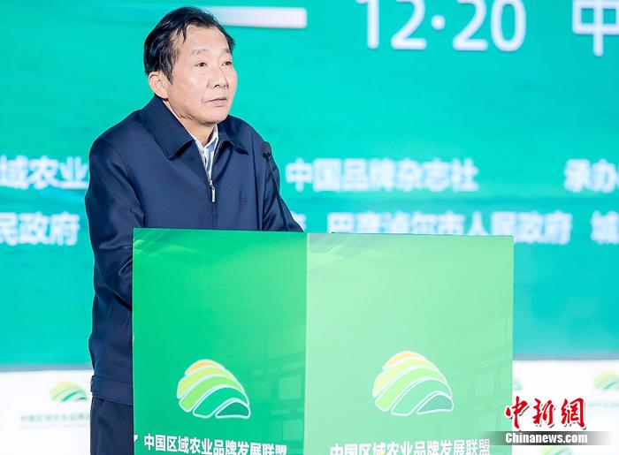 中国农业经济学会会长陈晓华