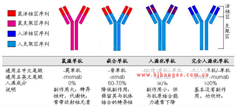 各种类型单抗的比较  www.getcxbot.com